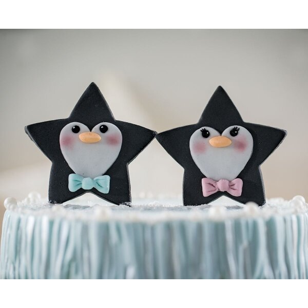 Karen Davies Silicone Mould - Star Penguin