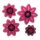 JEM Pointed 8 Petal Daisy Set/4