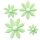 JEM Pointed 8 Petal Daisy Set/4